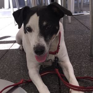 Meet your Posher, Lili